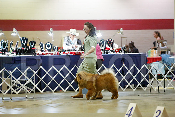 _JN_8500-AmarilloSept2014-HR3