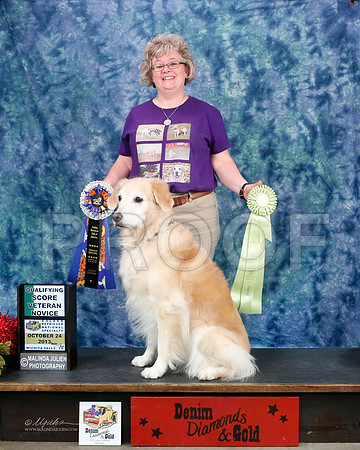 Vet-1681-WFOct2013-HR