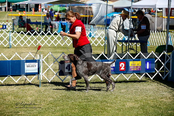 _JJ_3706-AlamogordoOct2014-HR3