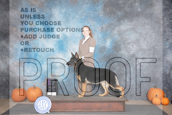 German Shepherd Dog #14 OHG1 Sat Judge Tim Catterson__JP_9055_Humble_2024_HR3