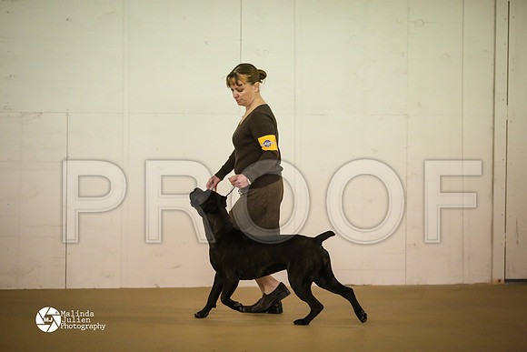 Cane-7843-HtoJan14-HR