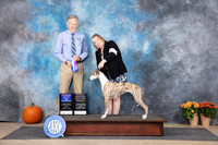 Whippet #10  Fri WBBOW Judge Doug Broadfoot
