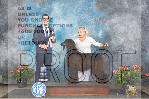 Afghan Hound #10 WBBOWBOB Judge Victor Rosado_JP_5838e_San Antonio_2024-HR3