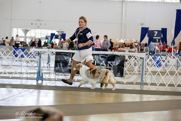 _JN_3177-DallasJul2014-HR3