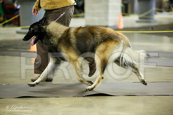 _JJ_6138-BeltonJan2015IABCA-HR3