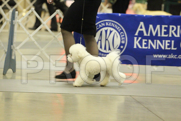 MJS_7543