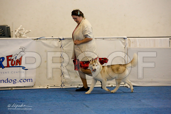 _M3_9318-AddisonHuskyMar2015-HR3