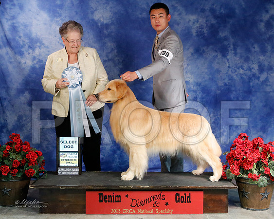 SD-5102-WFOct2013-HR