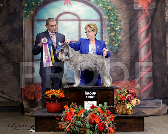 _ST_7136-2-NrmnNov2014-HR3