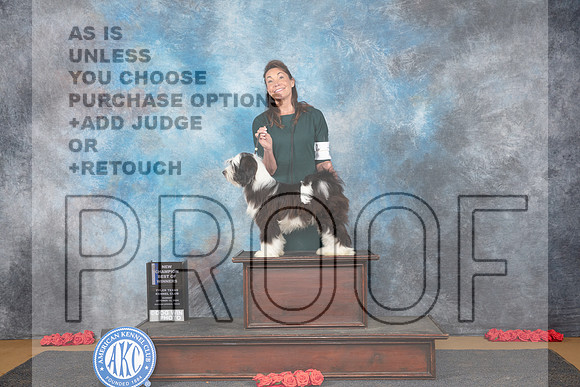 Tibetan Terrier #5 Sun WDBOW NCH Judge Anne Catterson__JP_0722_Sulphur Springs_2024_HR3