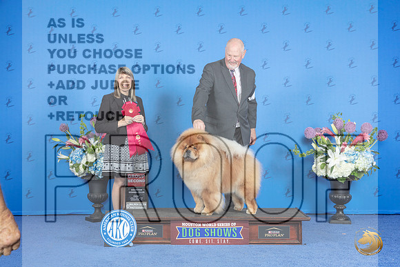 Chow Chow #5 FRI G2 Judge Angela Pickett__JP_9552_Houston_2024_HR3