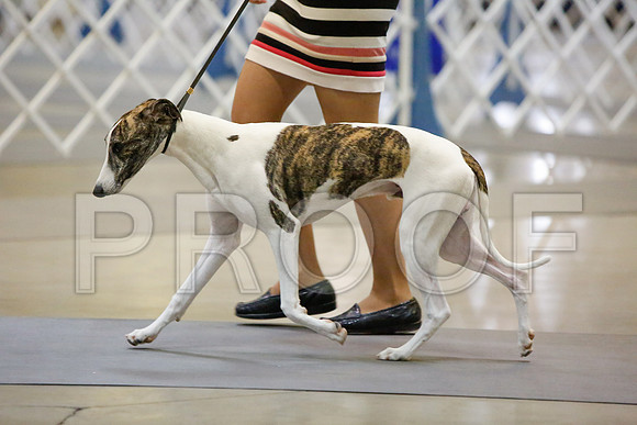 _JJ_3210-AmarilloSept2014-HR3