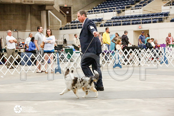 _JJ_1696-AblnMay2014-web