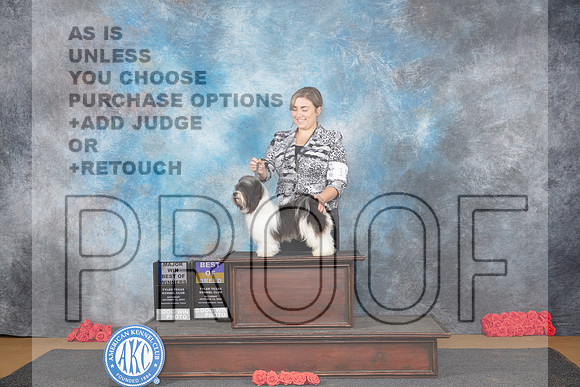 Havanese #11 Sat BOBBOW Judge Helen Tomb-Taylor__JP_0212_Sulphur Springs_2024_HR3