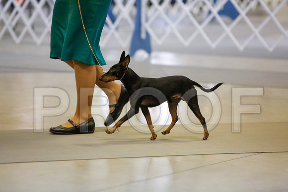 _JJ_1574-AmarilloSept2014-HR3