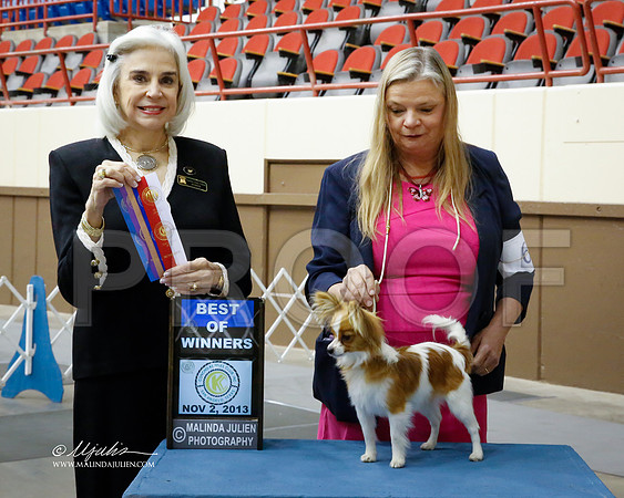 Pap-1212-SANov13-HR