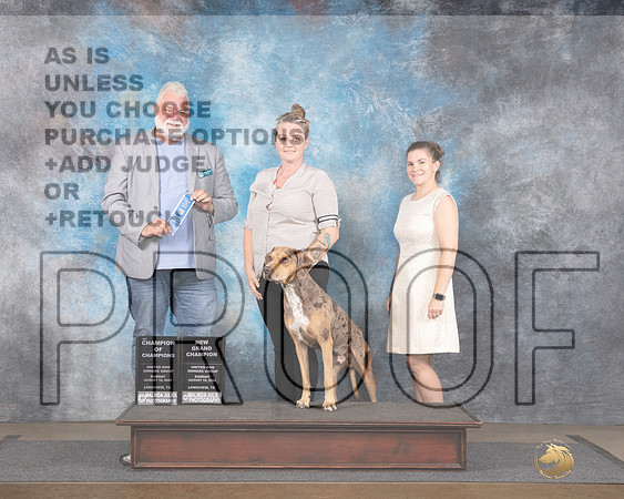 LCLD #472 Sun Ch of Ch NGCh Judge Matthew Proctor-_JP_3121e_Longview TX 2024-HR3
