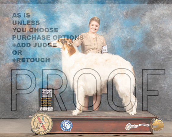Borzoi #23 Sun BOW Judge Gary AndersenMMJ_5121_Mdlnd2022_HR3