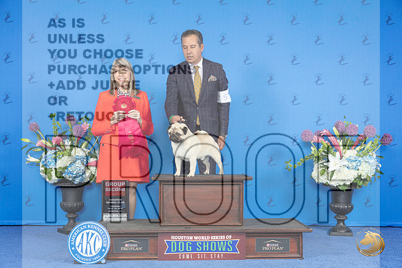 Pug #5 THUR G2 Judge Angela Pickett__JP_8547_Houston_2024_HR3