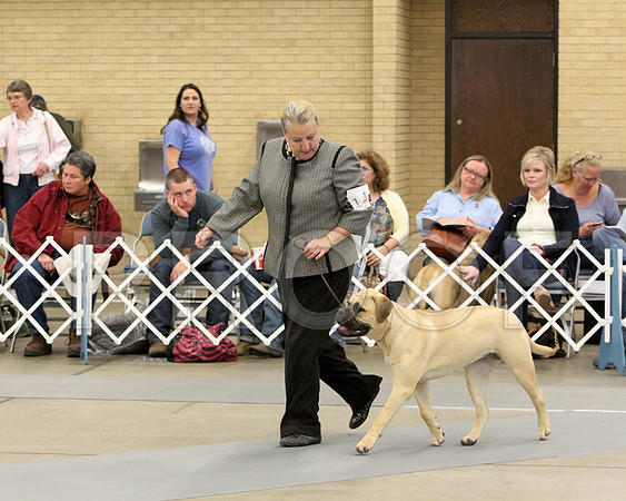 9-12Pup-8533