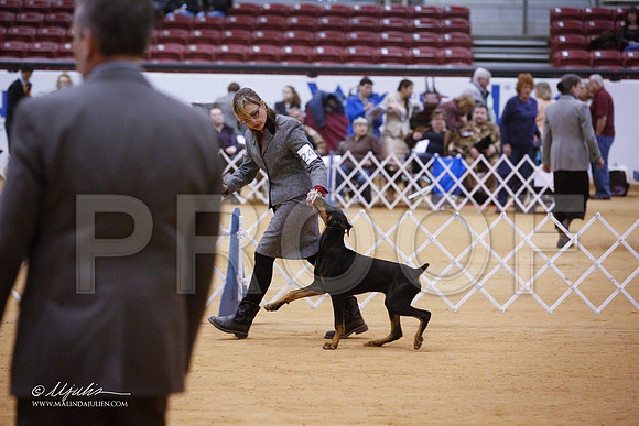 dobe-3997-GRJan14-HR