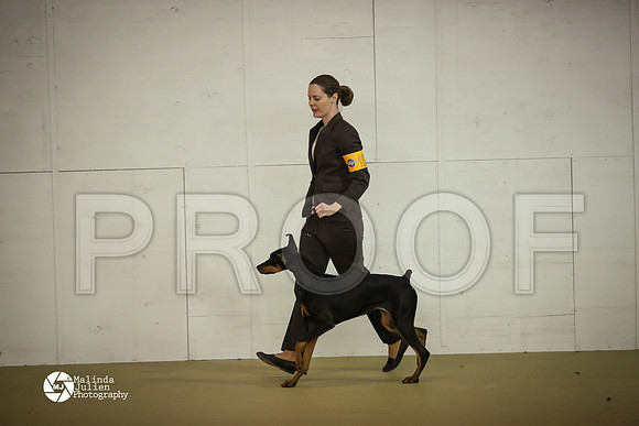 Dobe-7447-HtoJan14-HR