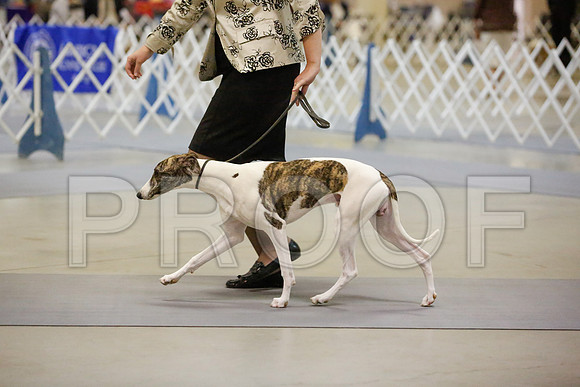 _JN_9653-AmarilloSept2014-HR3