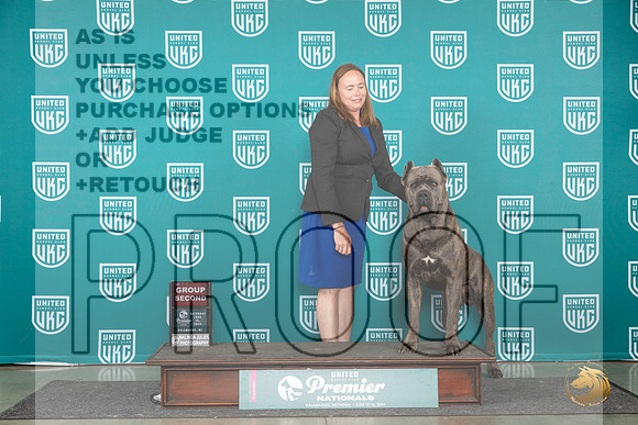 Cane Corso #1059 Fri BOB Deb Allen Sat G2 Judge Lori Sargent__JP_2552_Premier_2024_HR3