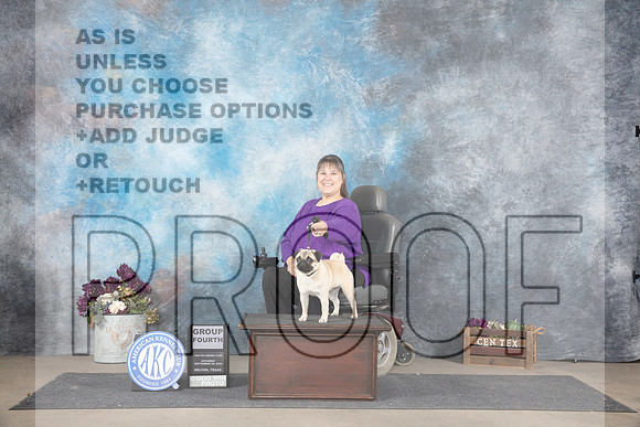 Pug #6 G4 Judge Donelle Richards r__JP_7354_Belton_2024_HR3
