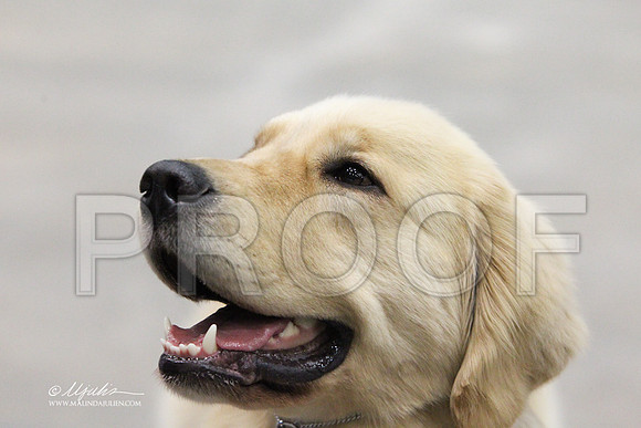 GrpSportSat-2755LR