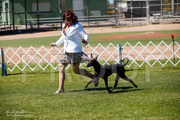 _JJ_7966-AlamogordoOct2014-HR3