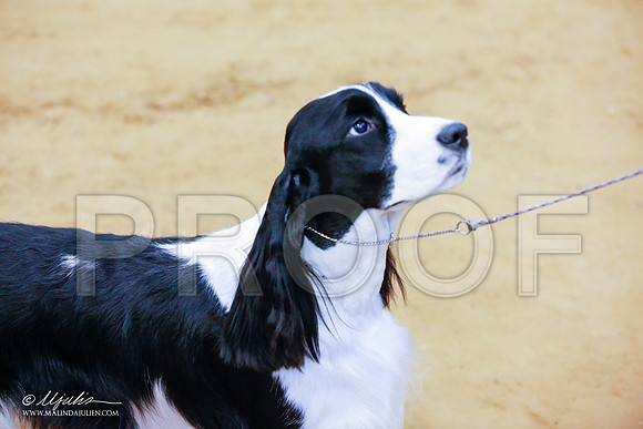 _JJ_6976-GlnRoseJan2015-HR3