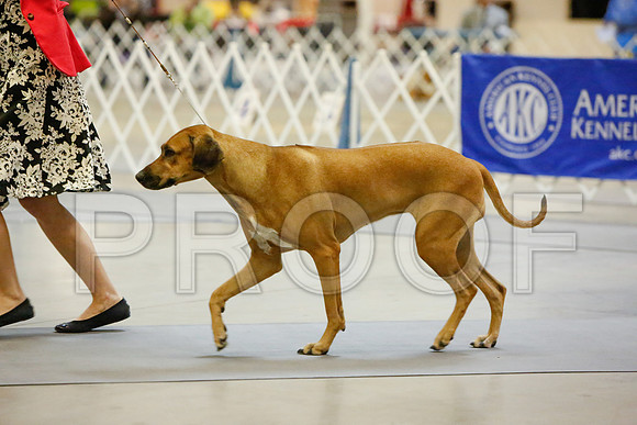 _JJ_3801-AmarilloSept2014-HR3