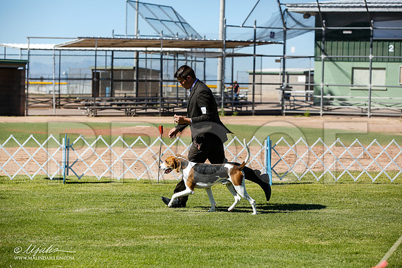 _JN_5937-AlamogordoOct2014-HR3