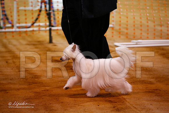 CC-9310-MrshllDec13-HR