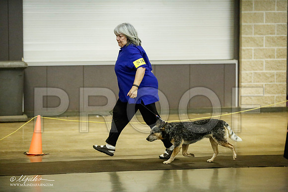 _JJ_7025-BeltonJan2015IABCA-HR3