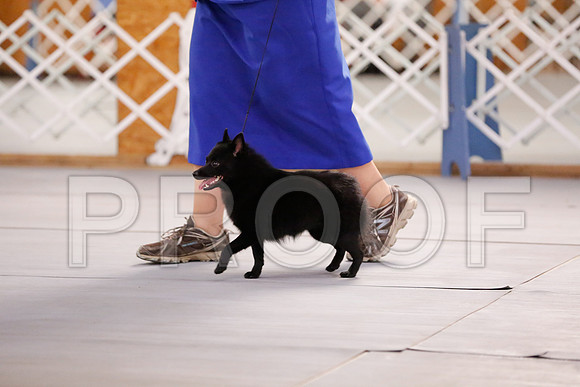 _RH_6709-CarlrolltonSept2014-HR3