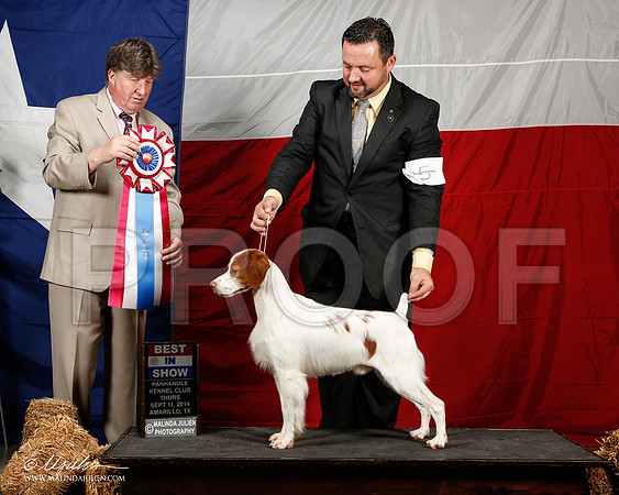 _ST_1460-2-AmarilloSep2014-HR3