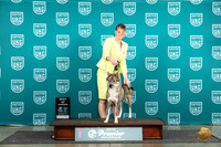 Shikoku #1080 Fri BOW Judge Stephanie Mueller