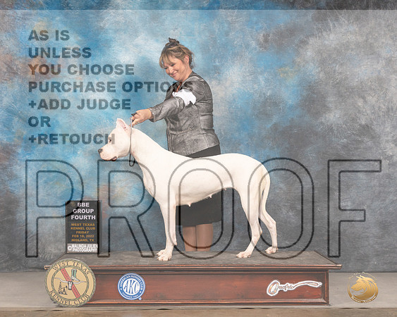 Dogo Argentino #10 Fri BBEG4 Judge Denny MounceMMJ_3433_Mdlnd2022_HR3