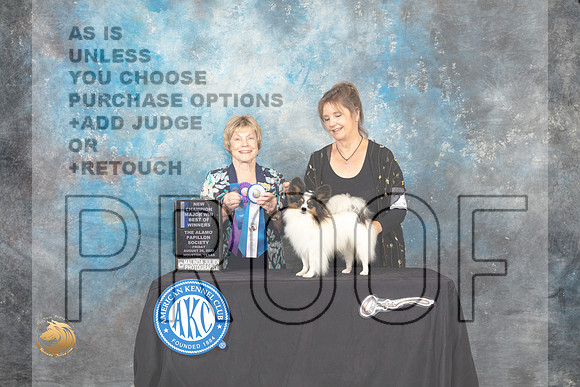 Papillon #23 Fri BOWNCh Judge Sharon Masnick_MJ_9625_HstnTOY_2022_HR3