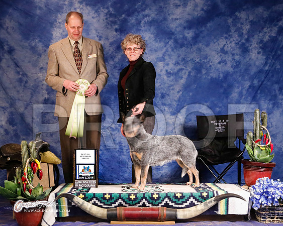 ACD-1035-GRJan14-HR