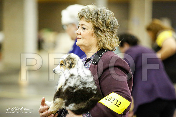 _JJ_6939-BeltonJan2015IABCA-HR3