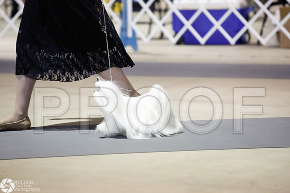 _JJ_3698-SanAntonioJul2014-HR