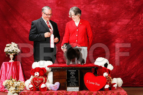 _ST_2150-2-BeltonJan2015-HR3