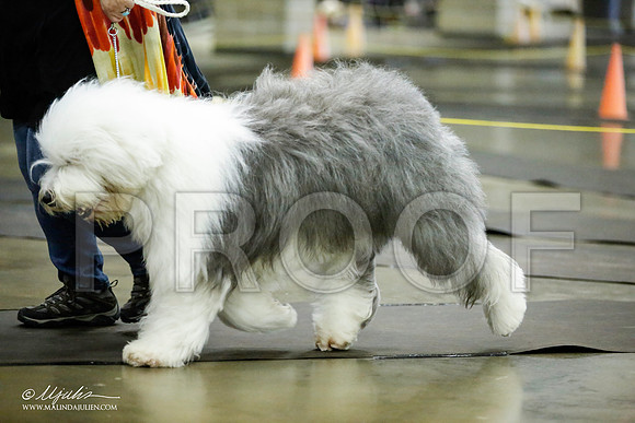 _JJ_6189-BeltonJan2015IABCA-HR3