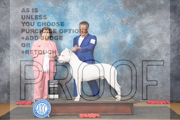 Dogo Argentino #5 Su G4 Judge Nikki Riggsbee__JP_0926_Sulphur Springs_2024_HR3
