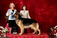 Shiloh Shepherd Sat S2 New Ch G1 Carla Ambruster