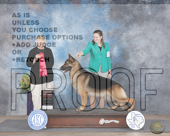 German Shepherd #9 Fri G2 Judge Carol MoserGerman Shepherd #9 Fri G2 Judge Carol Moser_WP_4493e-2-Abilene 2025-HR3