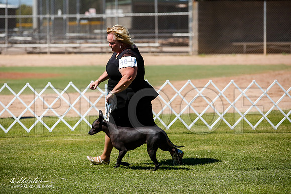 _JJ_8001-AlamogordoOct2014-HR3